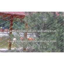 Stainless Steel China Supplier Zoo Aviary Mesh